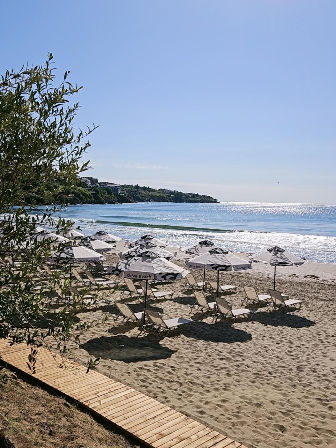 Olive Villas Beach Hotel ソゾポル エクステリア 写真
